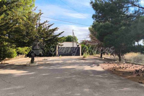 Villa i Yecla, Murcia, Yecla - € 299.000 | Ref: SF0543 - foto 39
